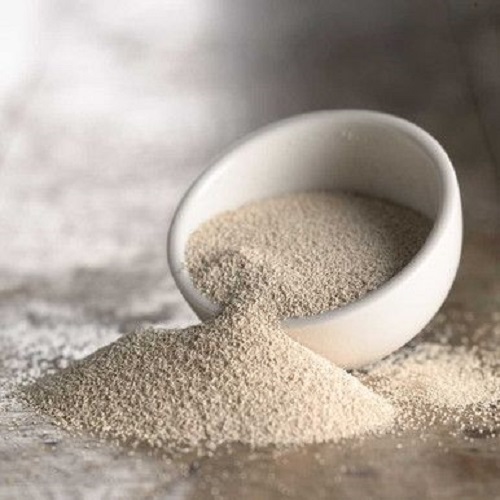 Milk Powder Substitute in Baking